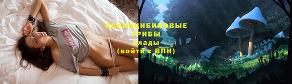 mdpv Белоозёрский