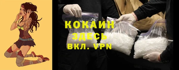 тгк Семёнов
