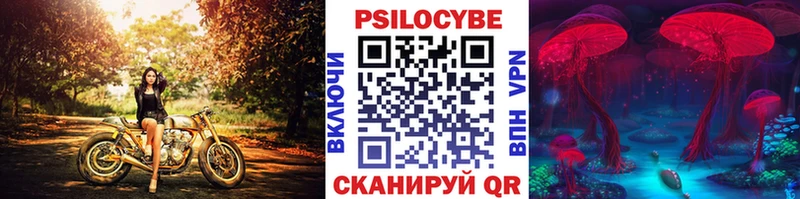 Псилоцибиновые грибы GOLDEN TEACHER  продажа наркотиков  Воскресенск 